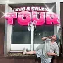 Herr Kuchen - Süß & Salzig Tour Konzert HELIOS37 Köln 2026