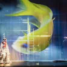 Romeo und Julia Aufführung Schauspielhaus – Kleines Haus Düsseldorf 2026