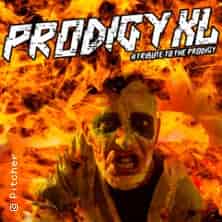 PRODIGY XL Konzert Pitcher Düsseldorf 2027