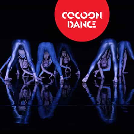 Vis Motrix - CocoonDance Company Aufführung Theater im Ballsaal Bonn 2026