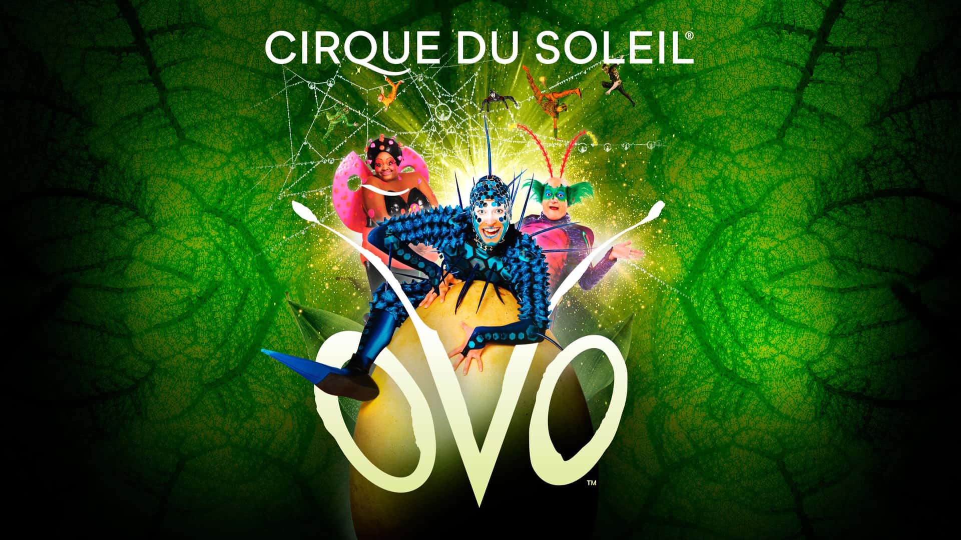 Cirque du Soleil - OVO Aufführung Rudolf Weber-ARENA Oberhausen 2027