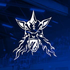 BARMER 2. Basketball Bundesliga ProA - VfL SparkassenStars Bochum vs. Artland Dragons