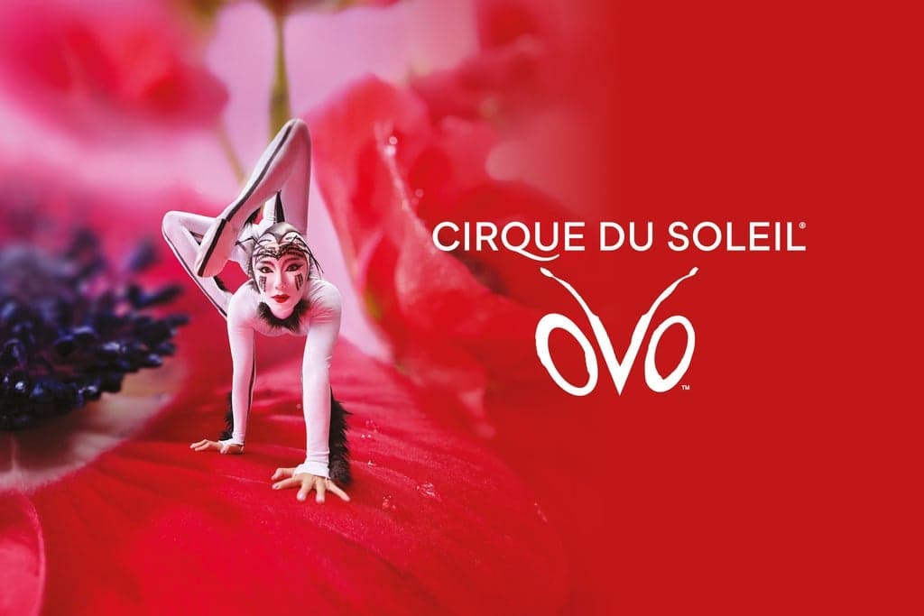 OVO Cirque du Soleil Foto