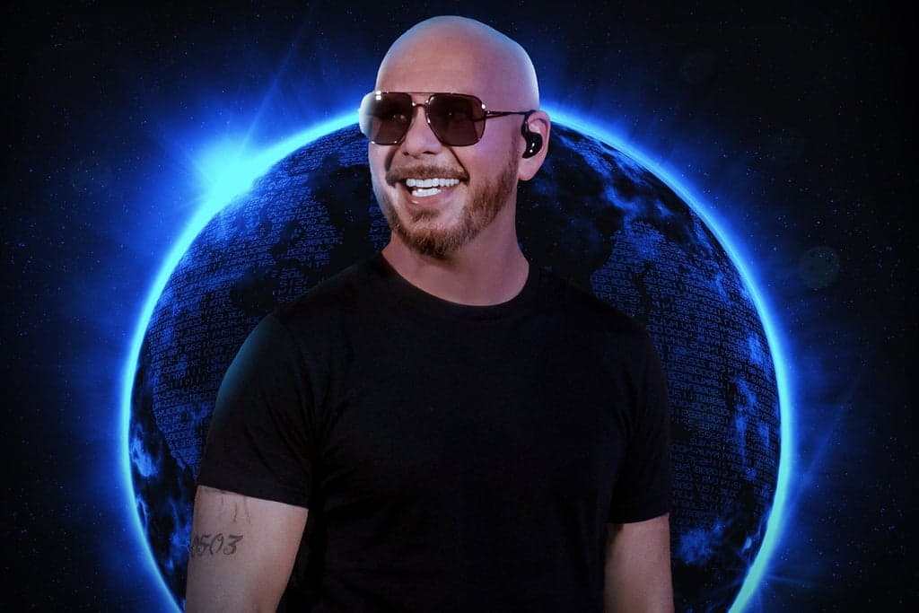 Pitbull Foto