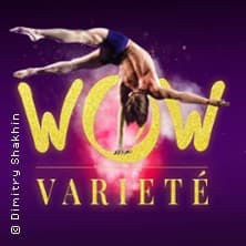 WOW Varieté - Ein Abend zum Staunen