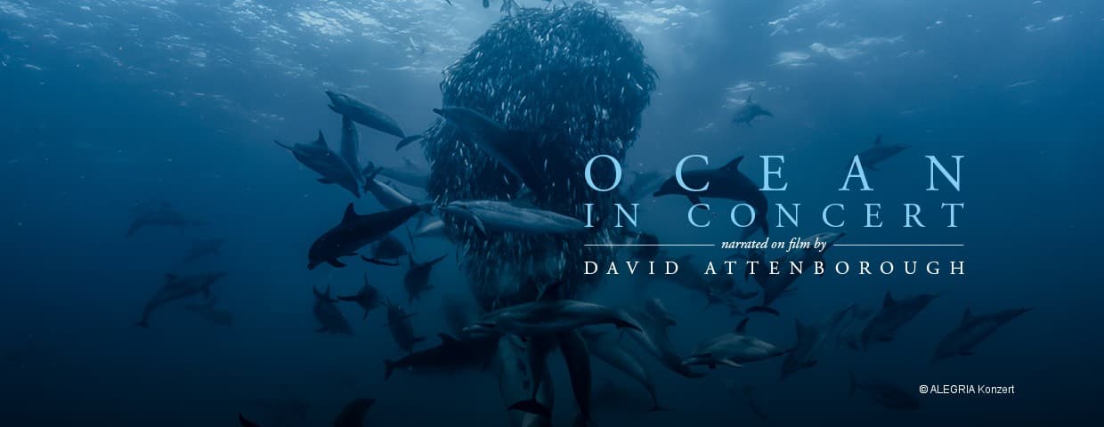 Ocean in Concert