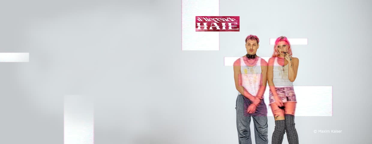 Fliegende Haie