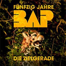 Niedeckens BAP Foto