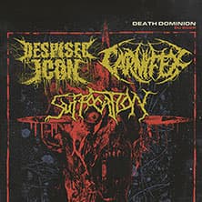 Despised Icon Foto