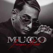 Mucco Foto
