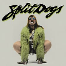 SPLIT DOGS Foto