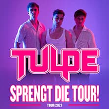 Tulpe Foto