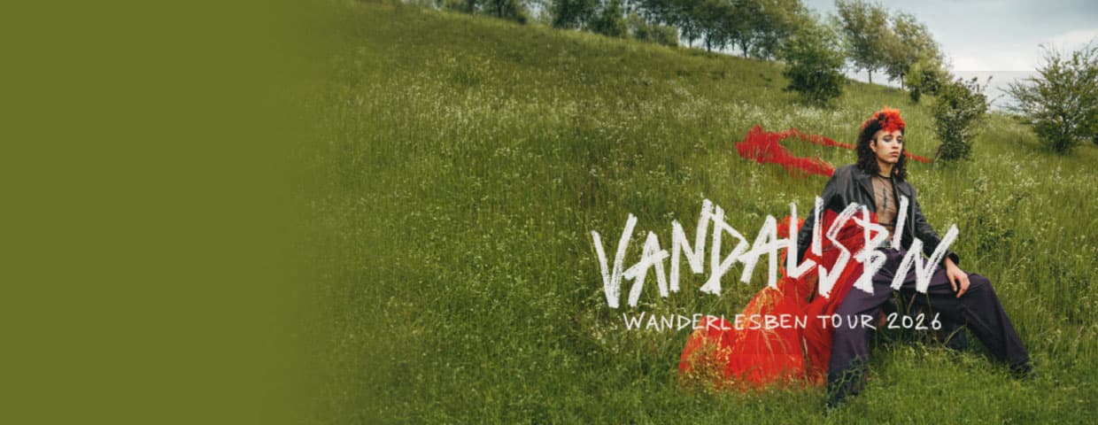 VANDALISBIN