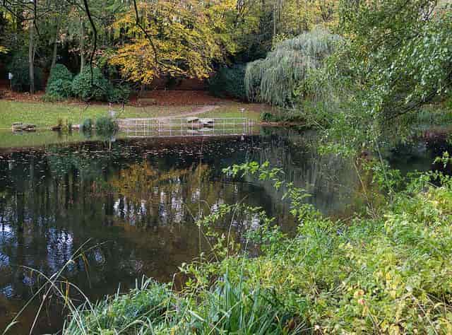 Grugapark Essen