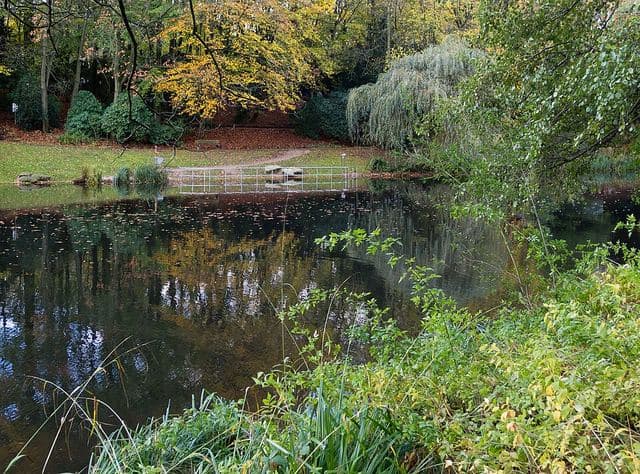Grugapark Essen