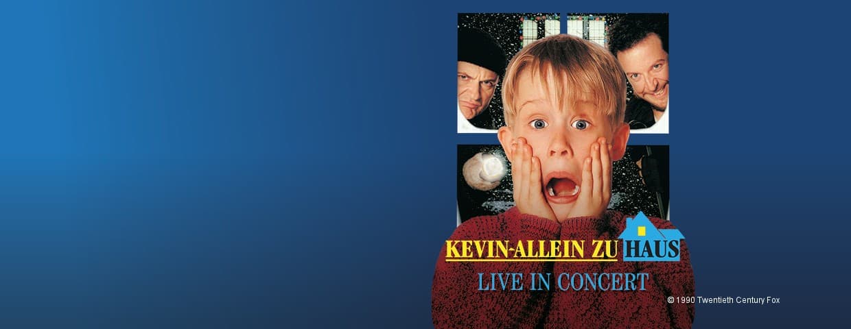 Kevin allein zu Haus