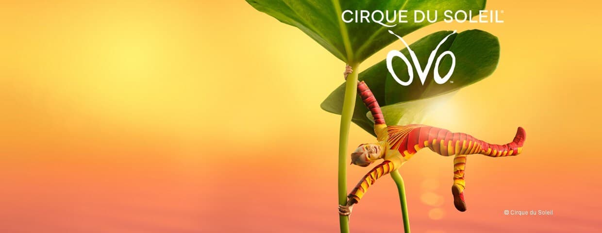 Cirque du Soleil OVO