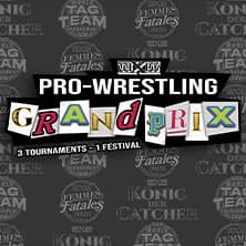 wXw Wrestling Foto