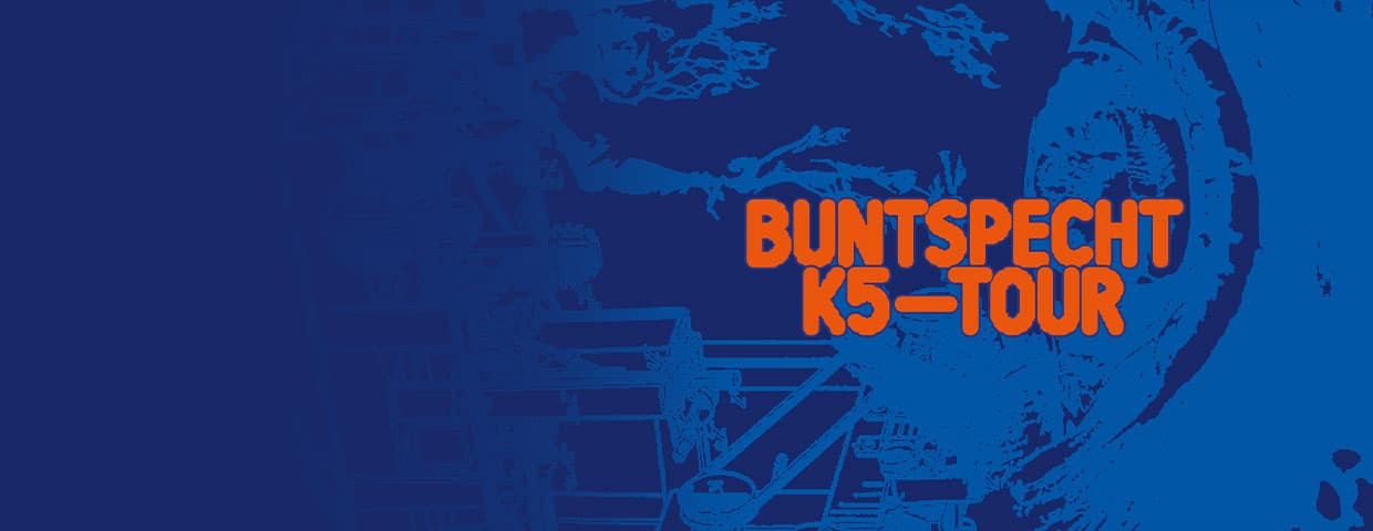 Buntspecht