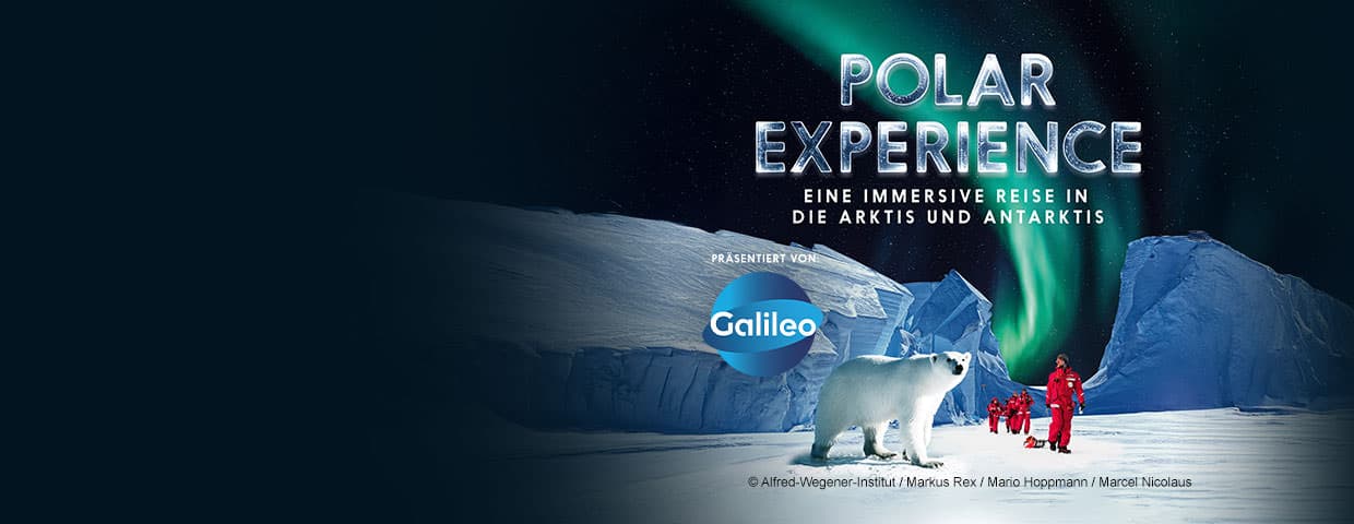 Polar Experience