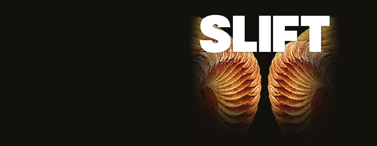 Slift